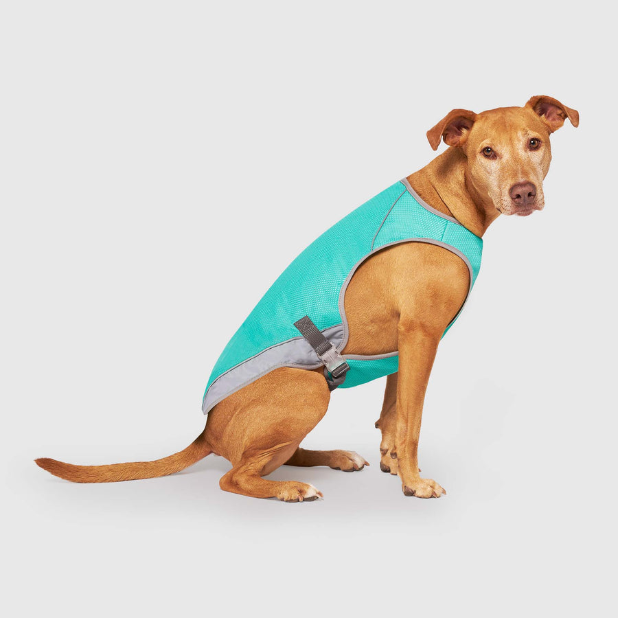 Canada Pooch: Chill Seeker Cooling Vest Wet Reveal | Canadapold 7977